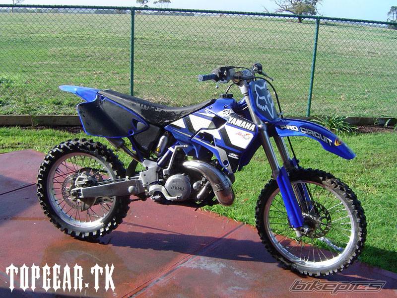 Photo 174683