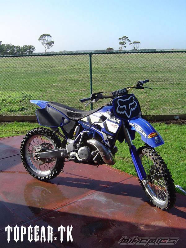 Photo 174685