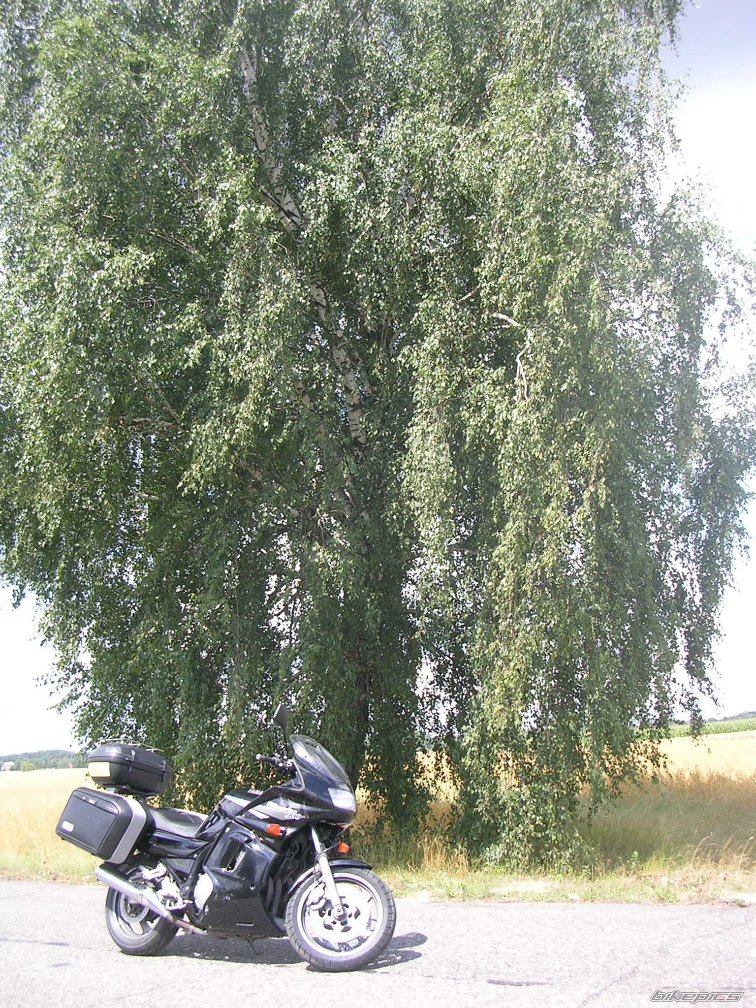 Photo 1746921