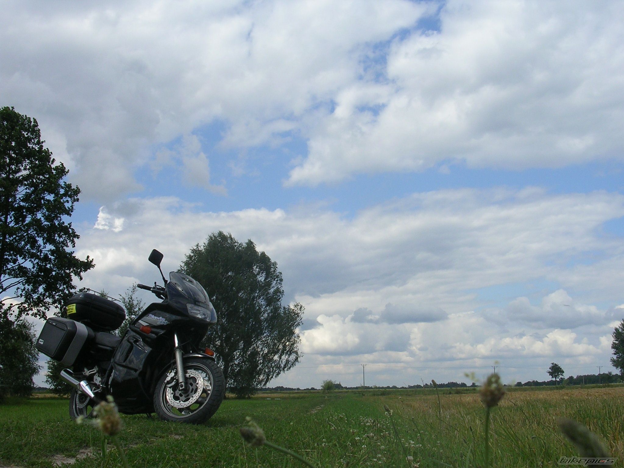Photo 1746994