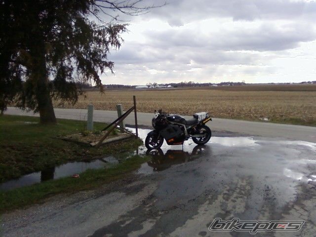 Photo 1747039