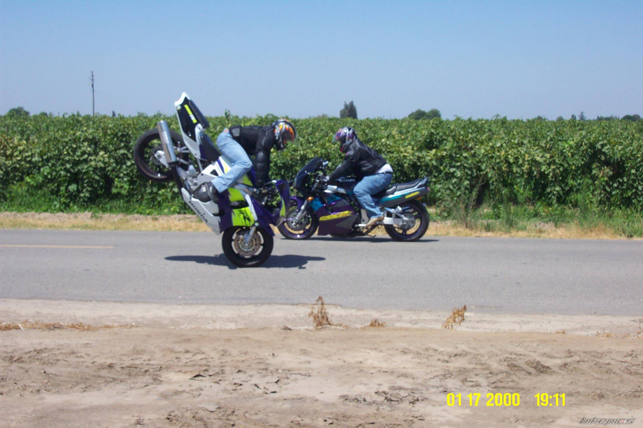 Photo 174707