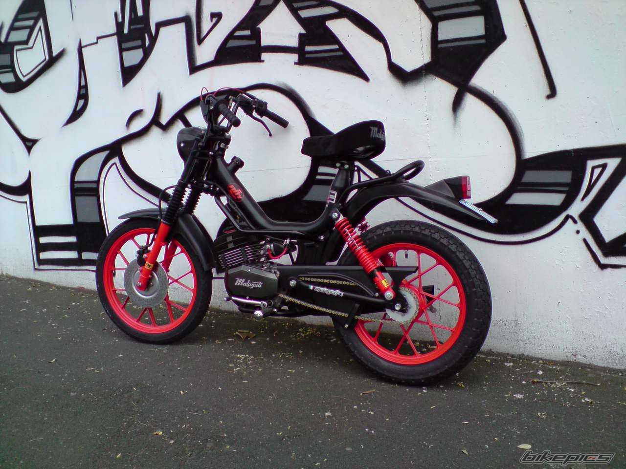Photo 1747206