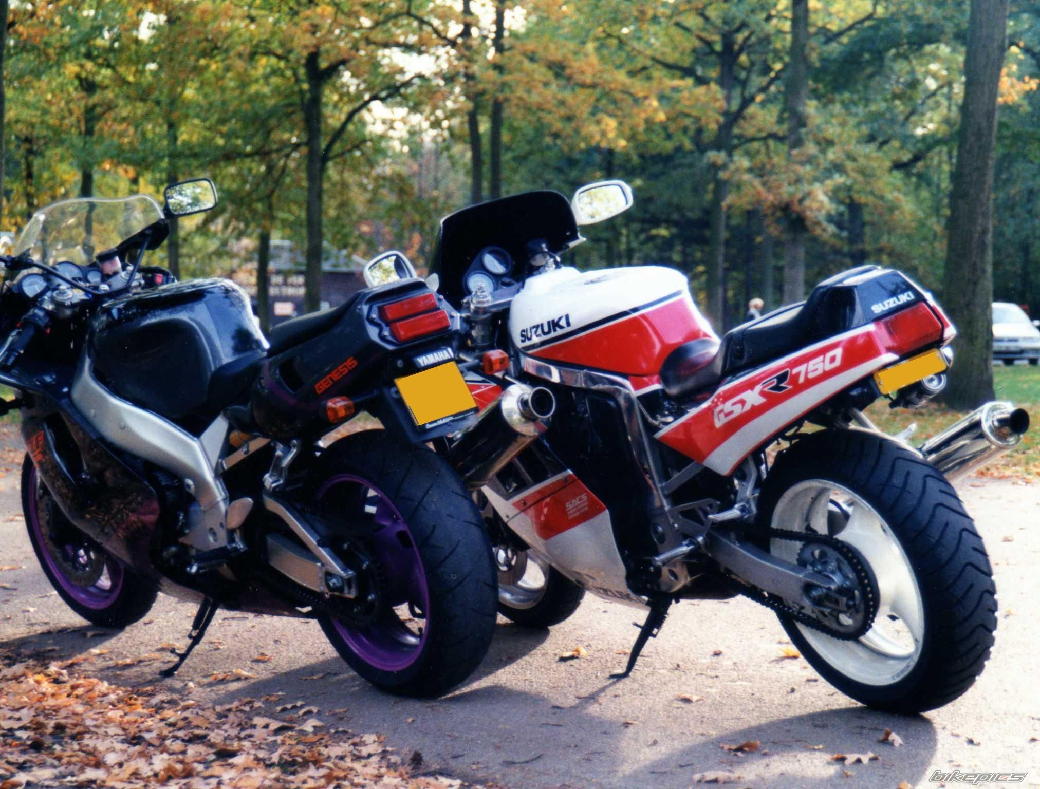 Photo 1747384