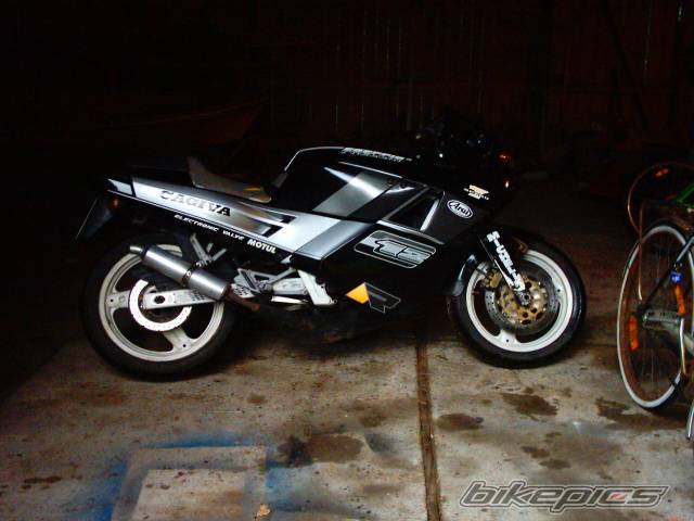 Photo 174739