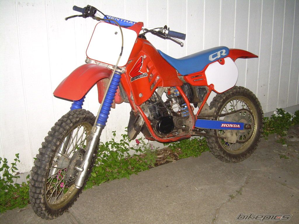 Photo 1747445