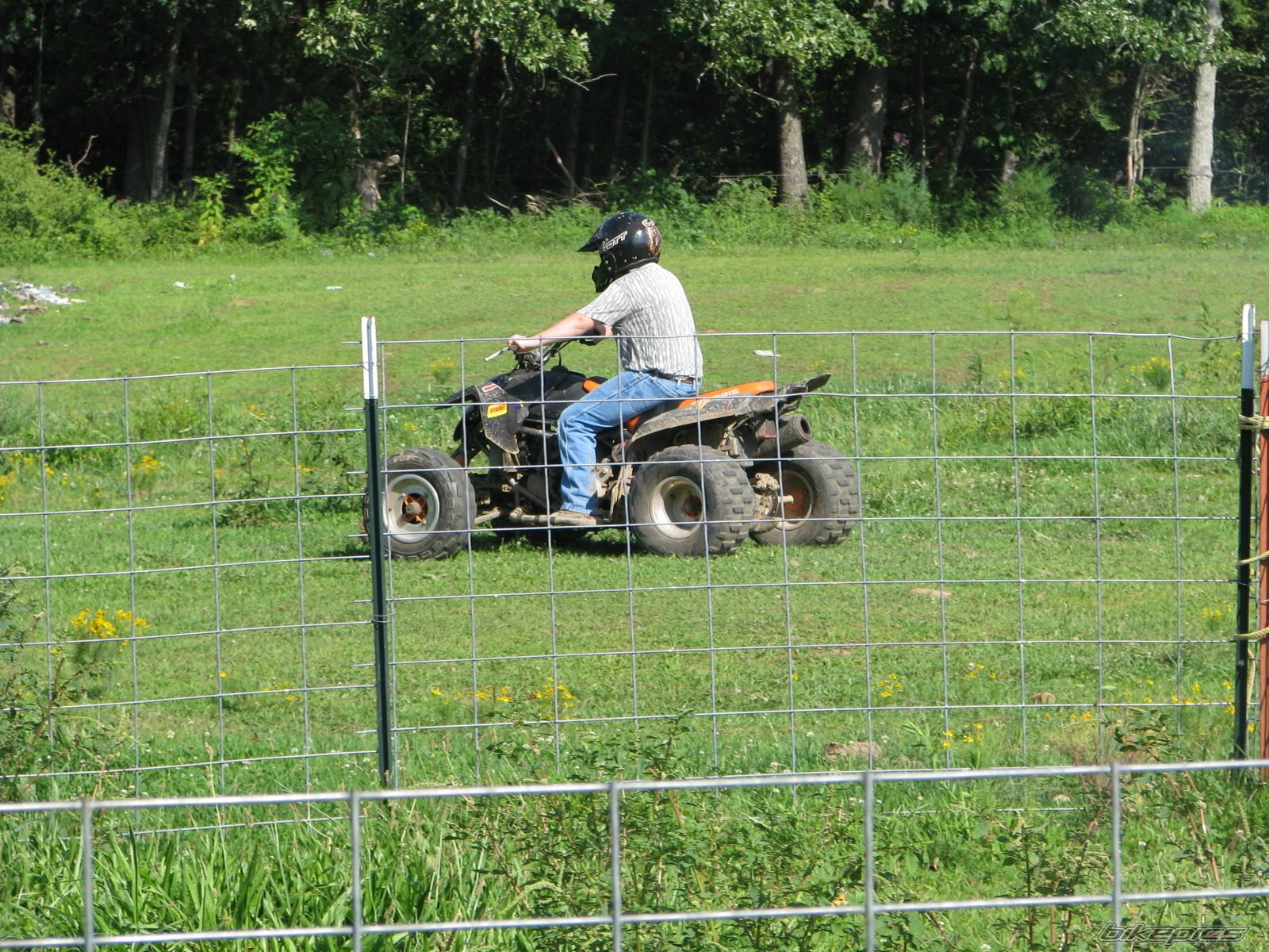 Photo 1747528
