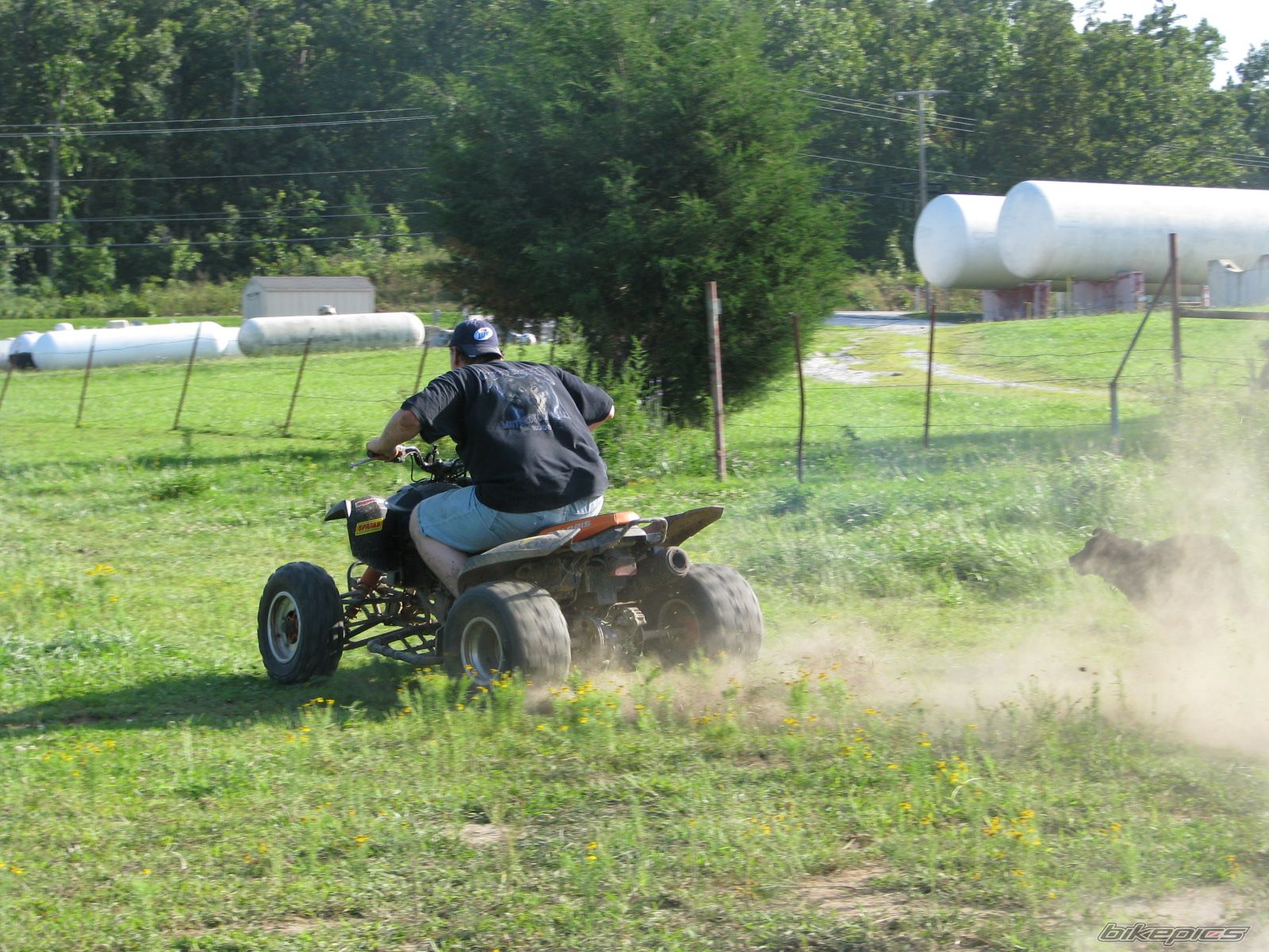 Photo 1747530
