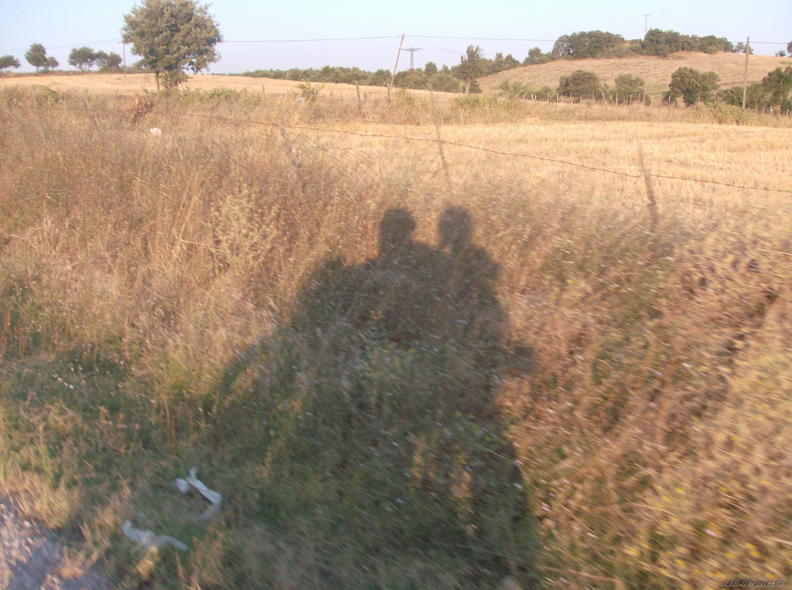 Photo 1747556