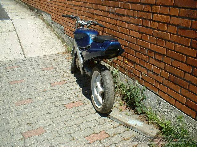 Photo 174763