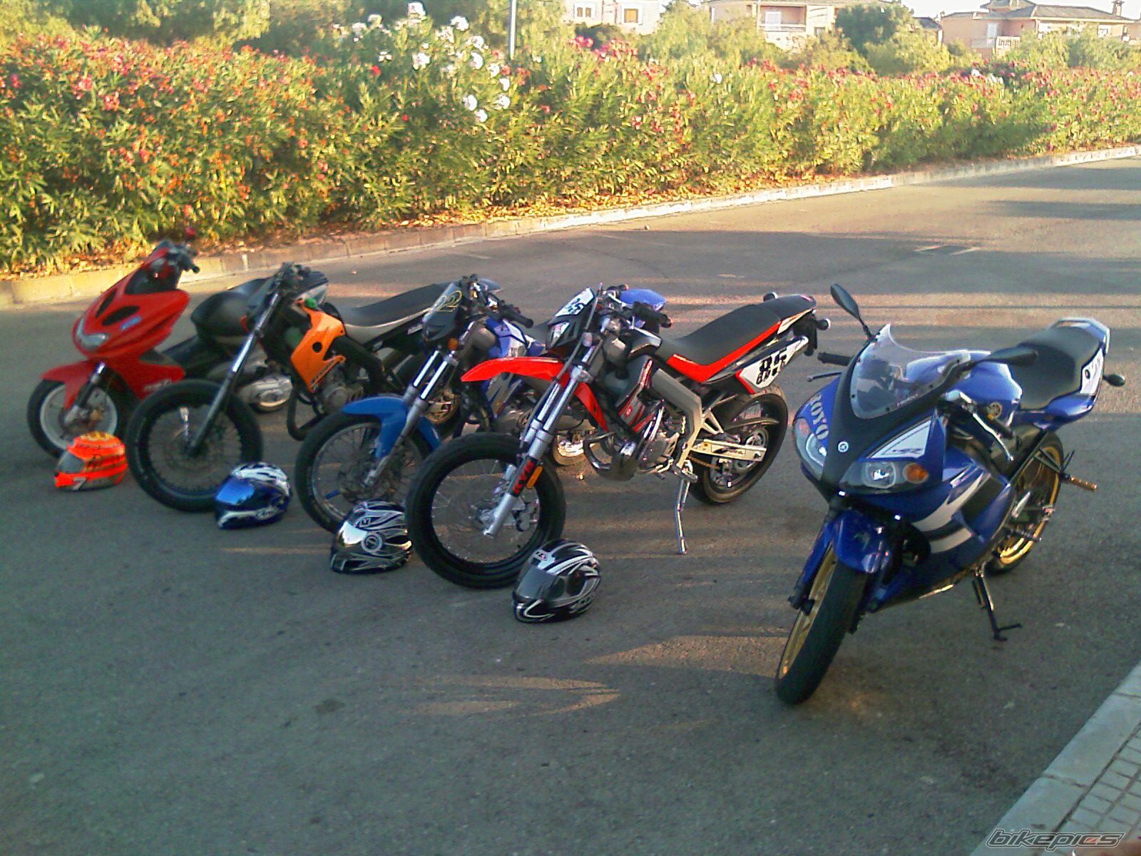 Photo 1747663