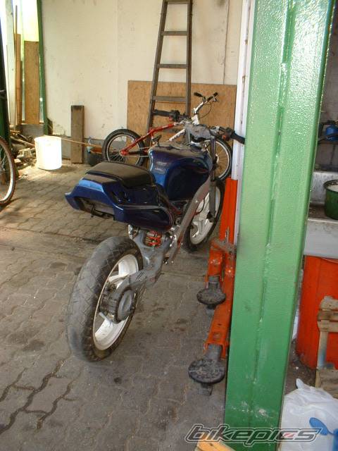 Photo 174767
