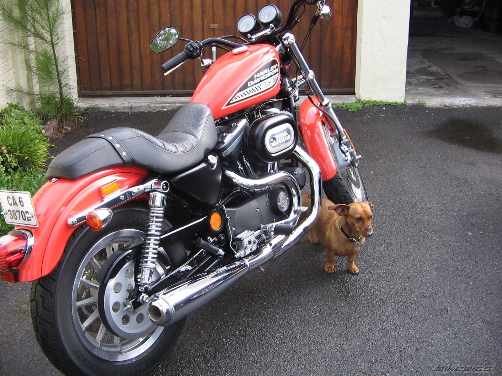 Photo 1747824