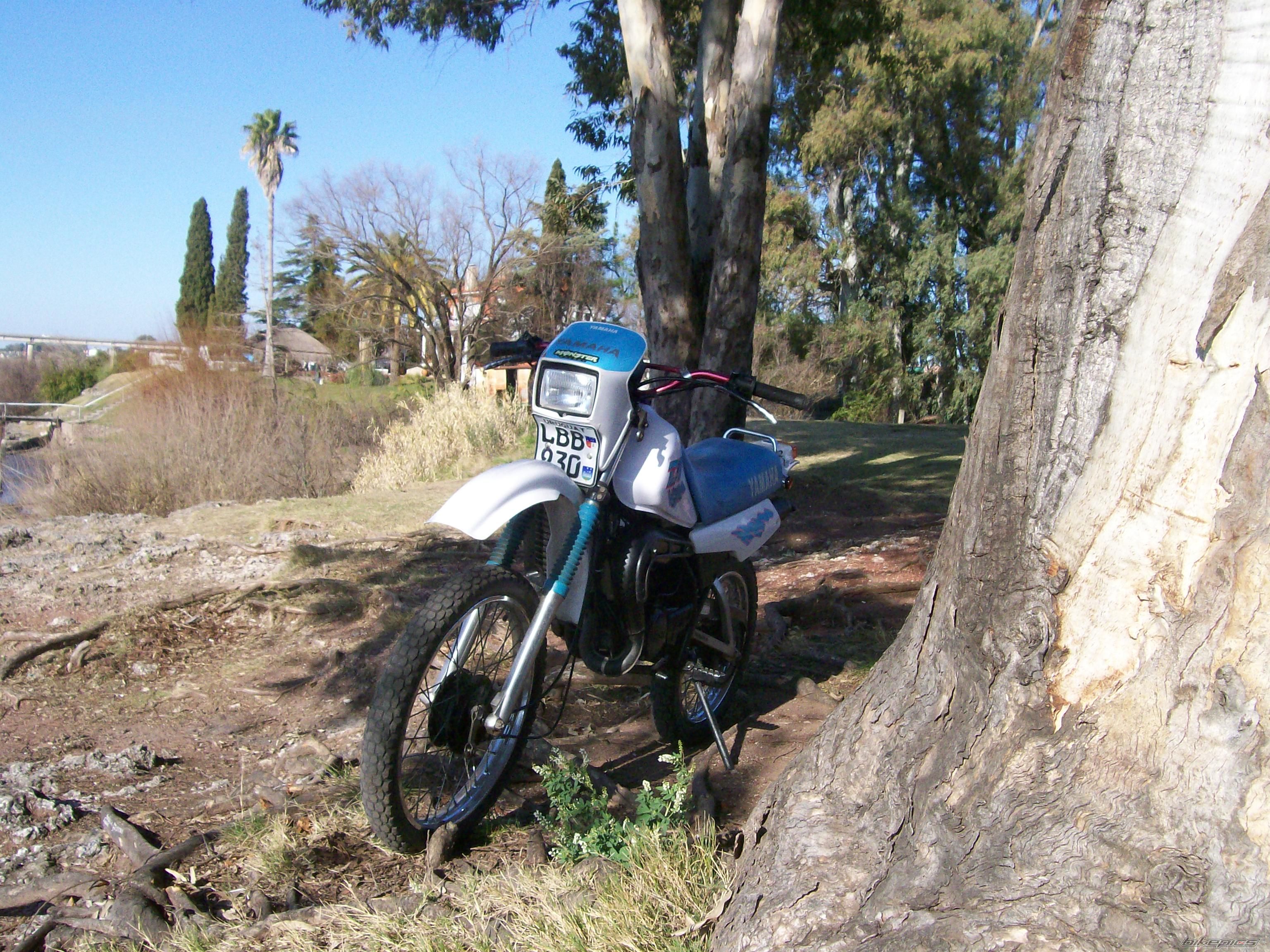Photo 1747874