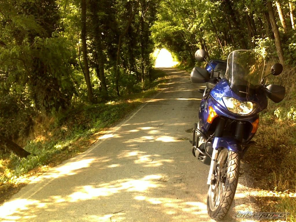 Photo 1748030