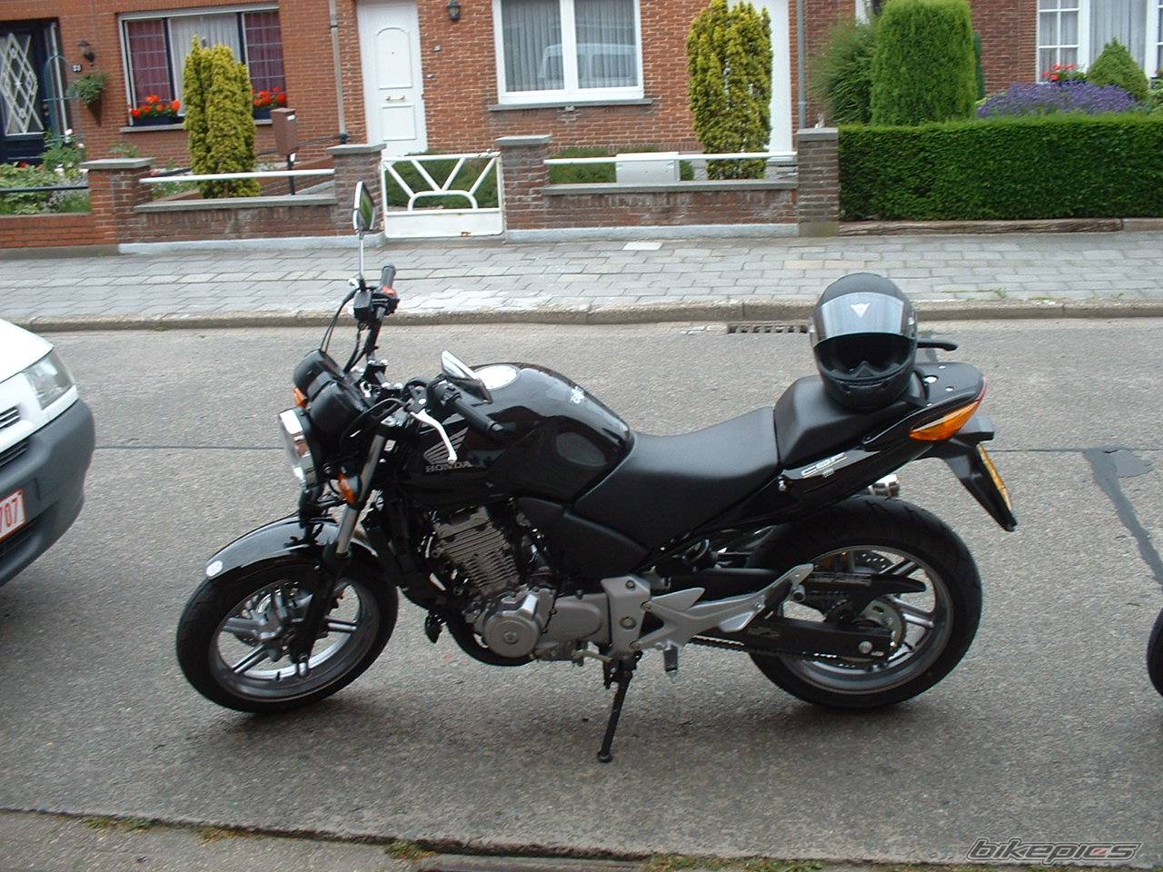 Photo 174847