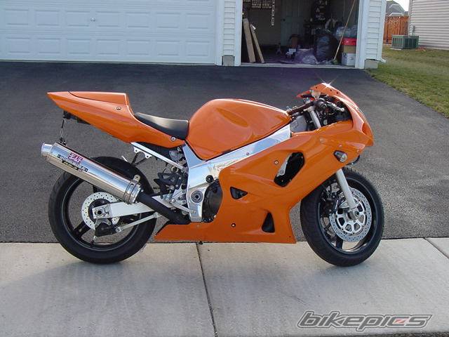 Photo 17488