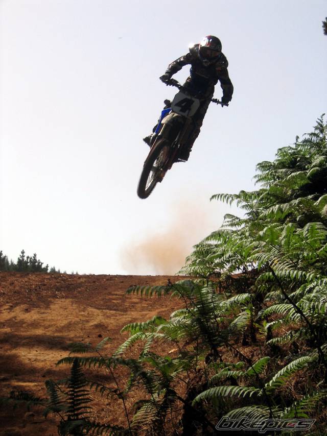 Photo 174916