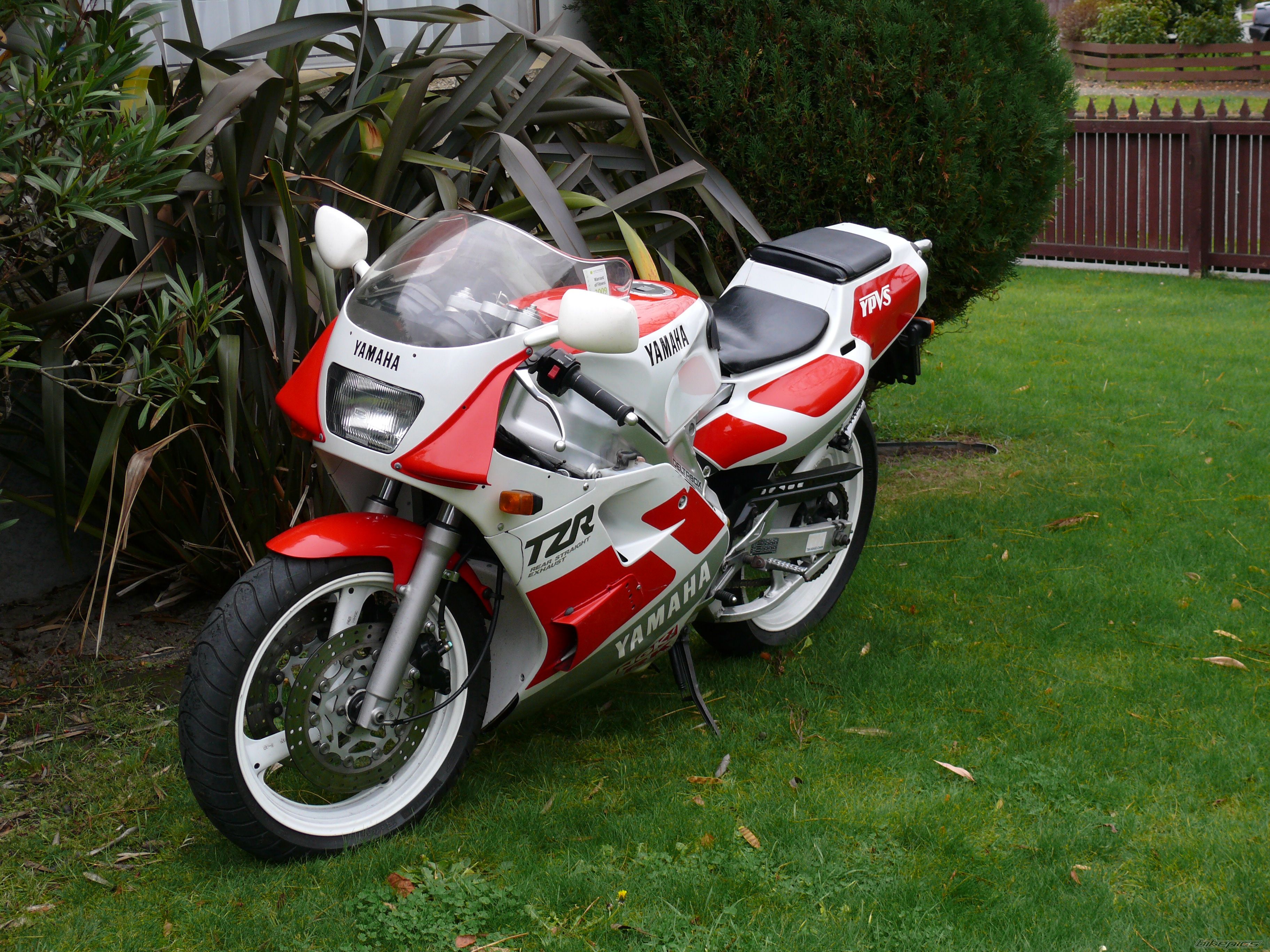 Photo 1749227