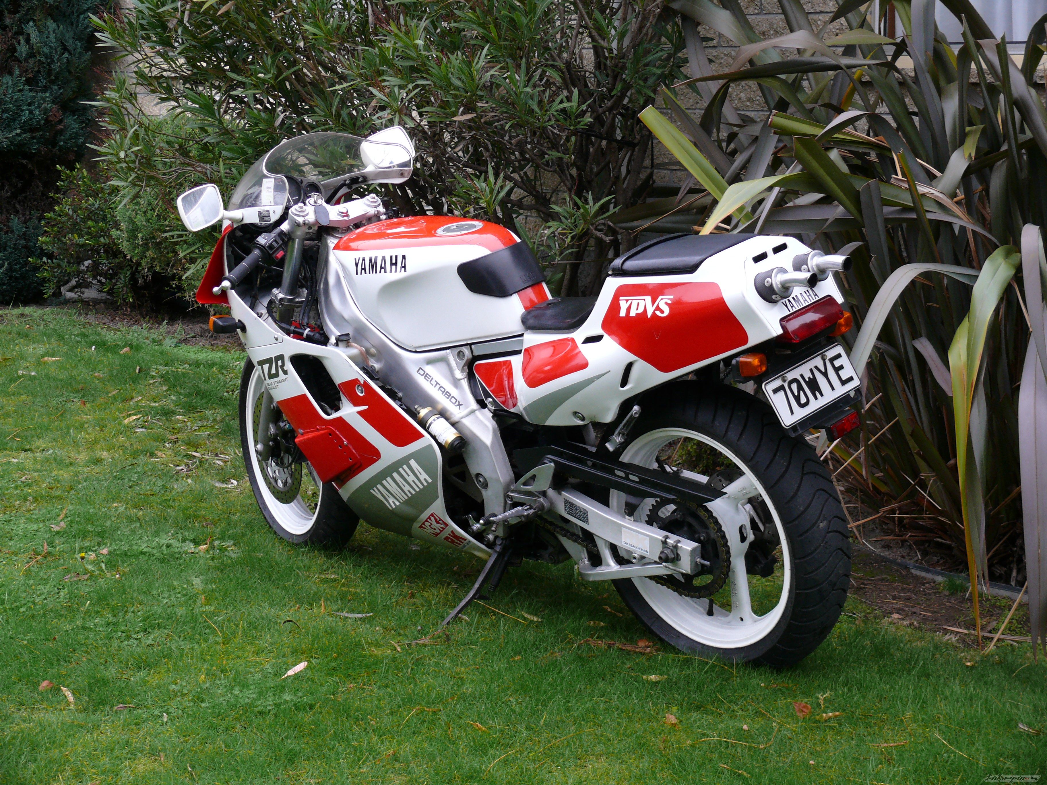 Photo 1749228