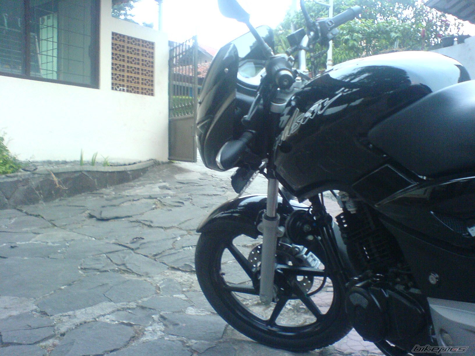Photo 1749475