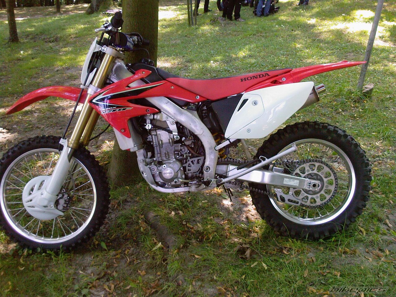 Photo 1749665