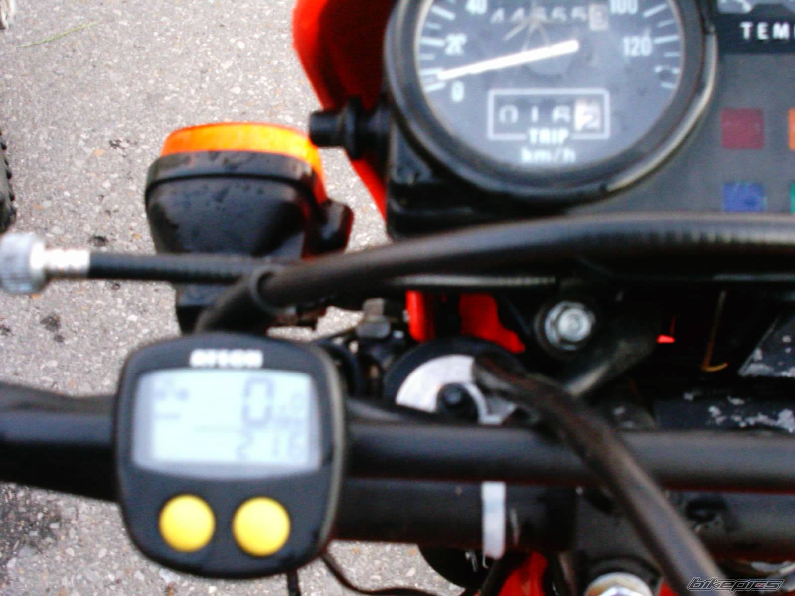 Photo 174975