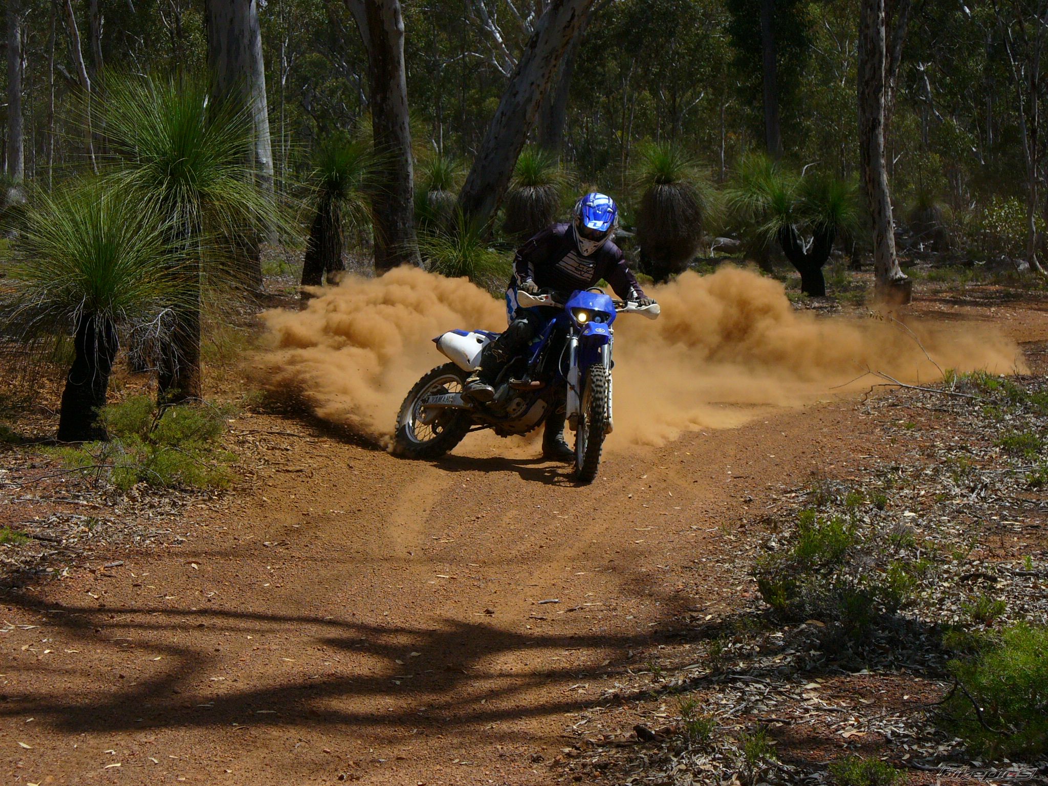 Bike Photo 1749815