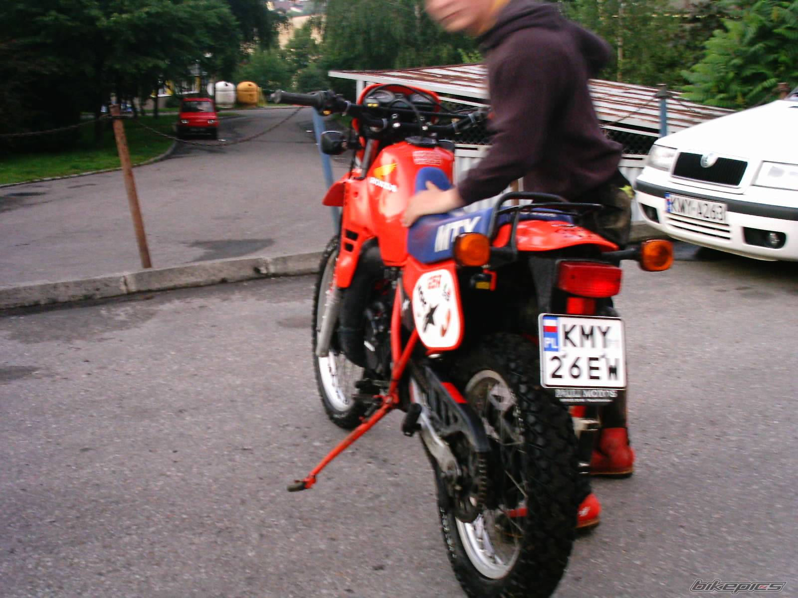 Photo 174990