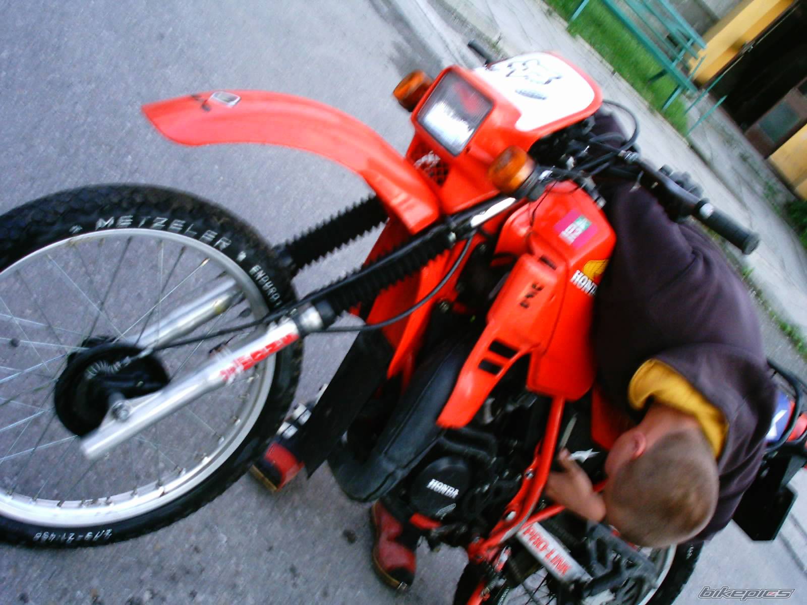 Photo 174991