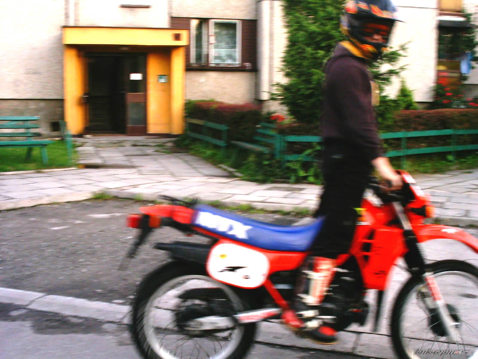 Photo 174997