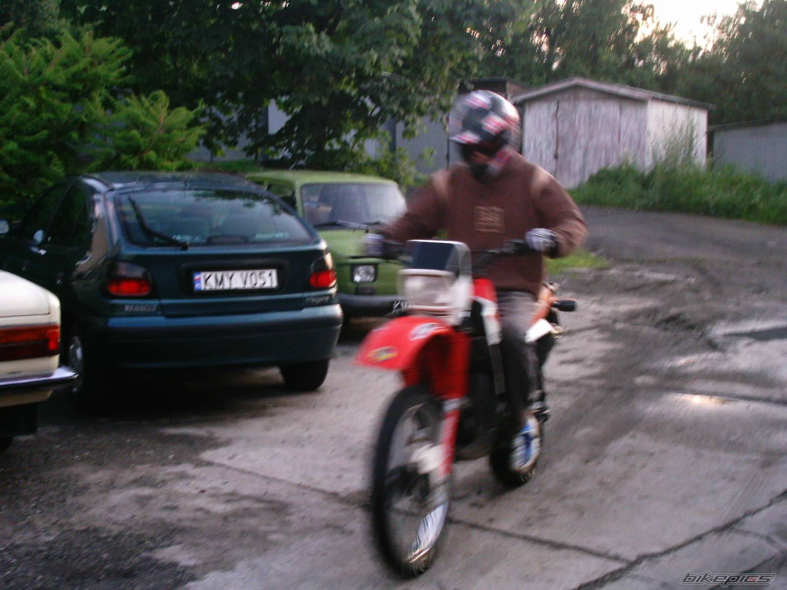 Photo 175003