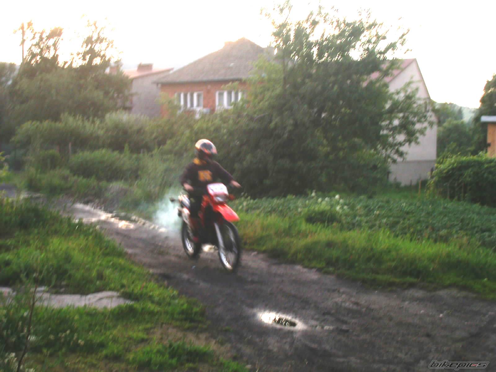 Photo 175005