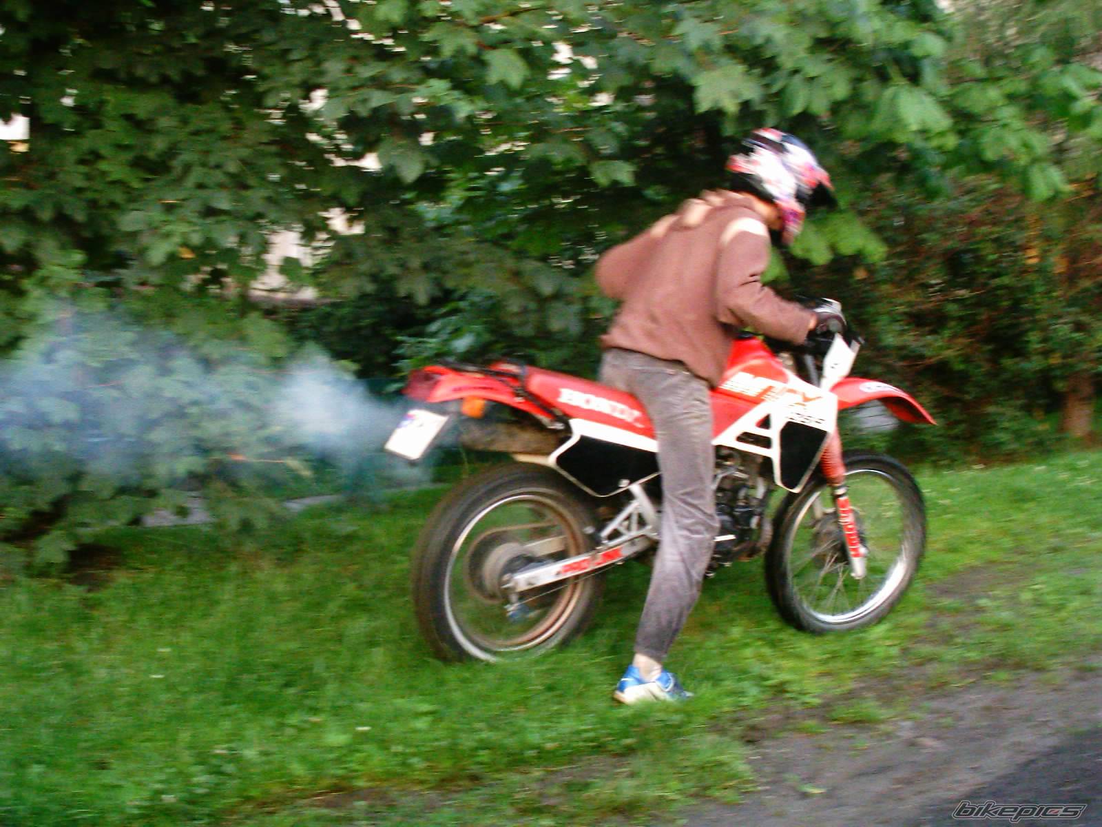 Photo 175017