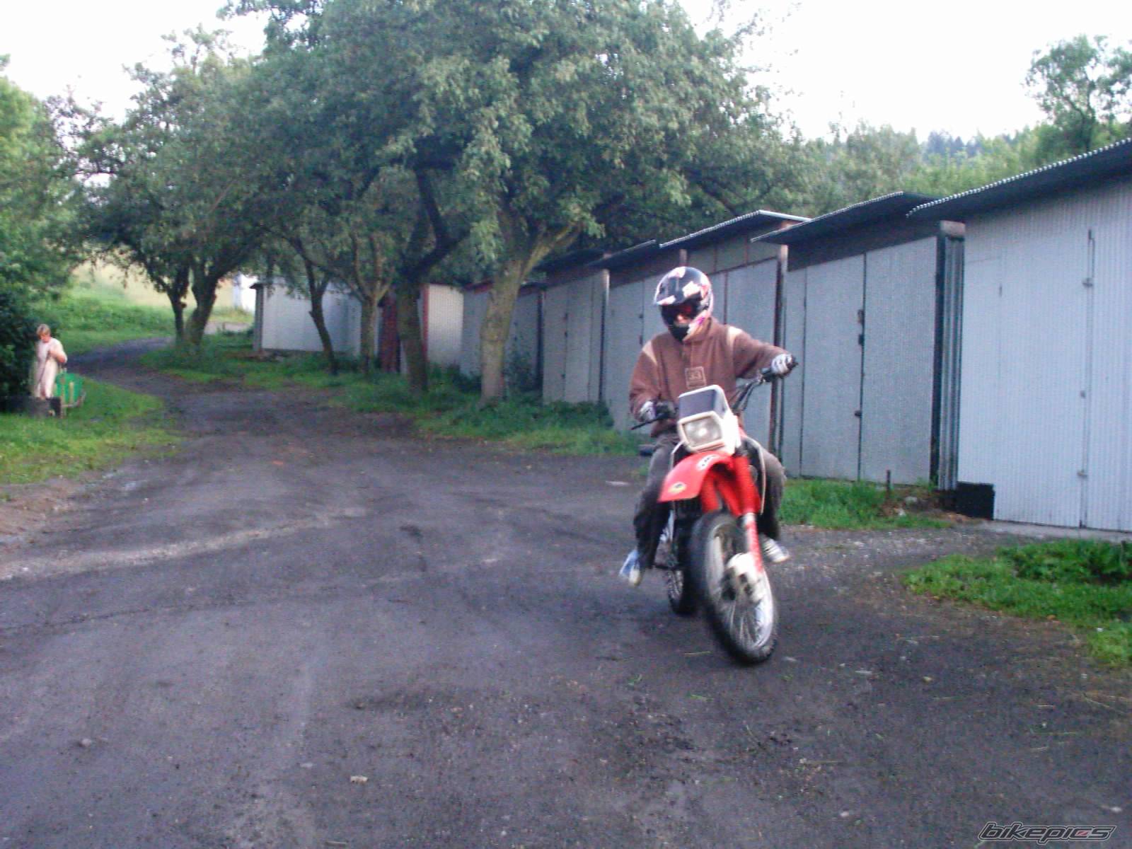 Photo 175019