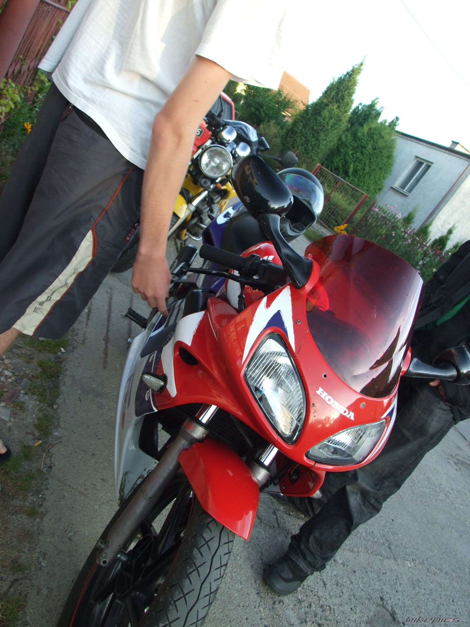Photo 1750192