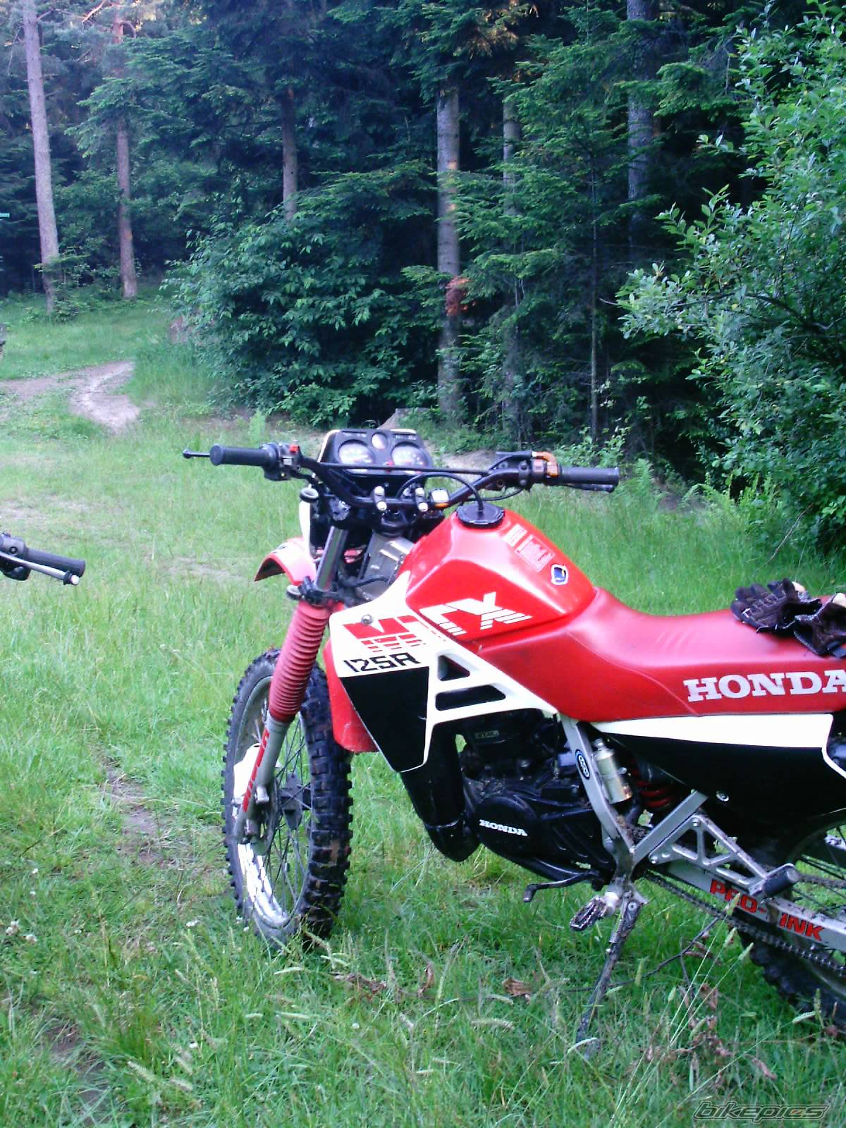 Photo 175033