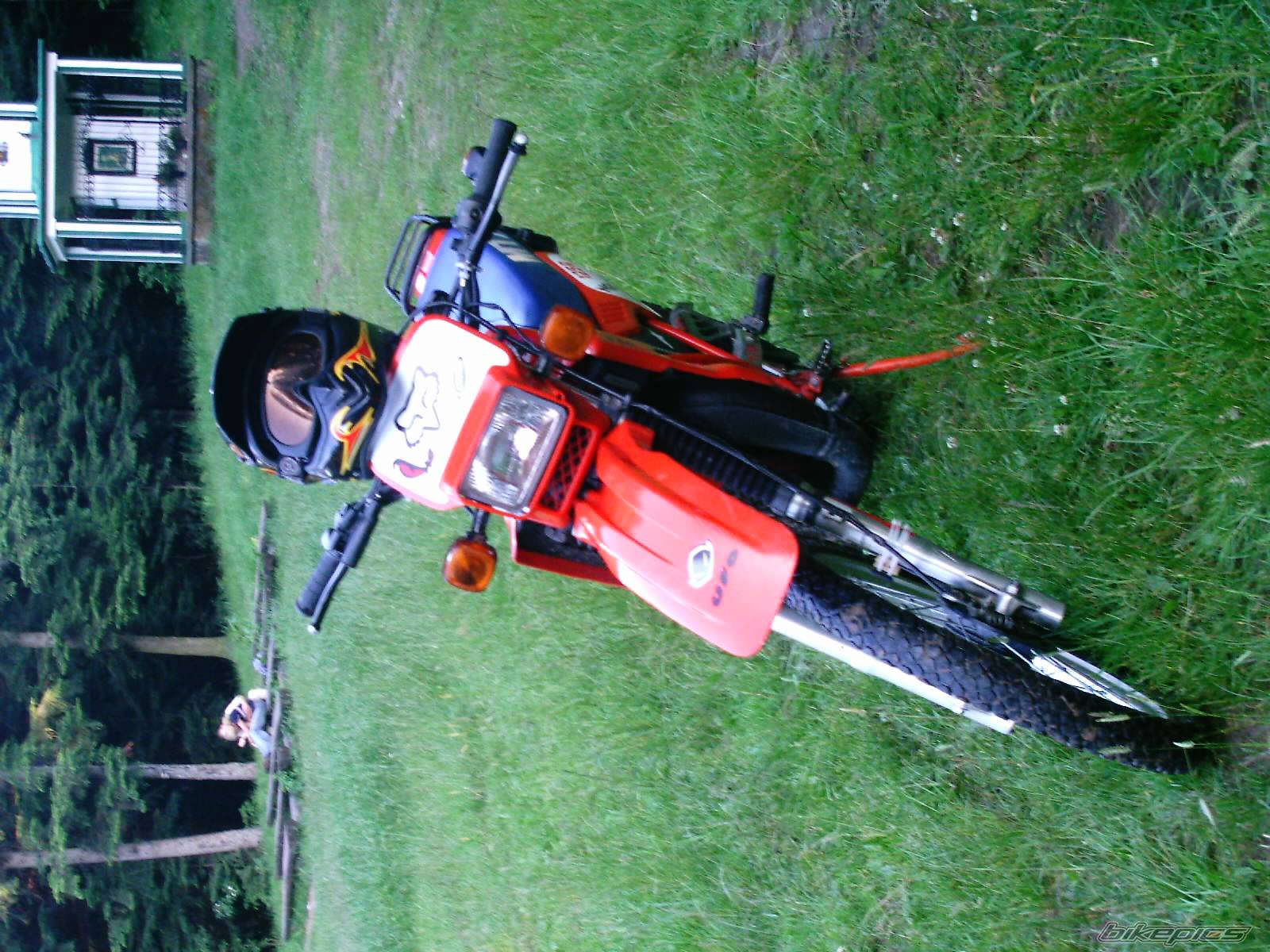 Photo 175034