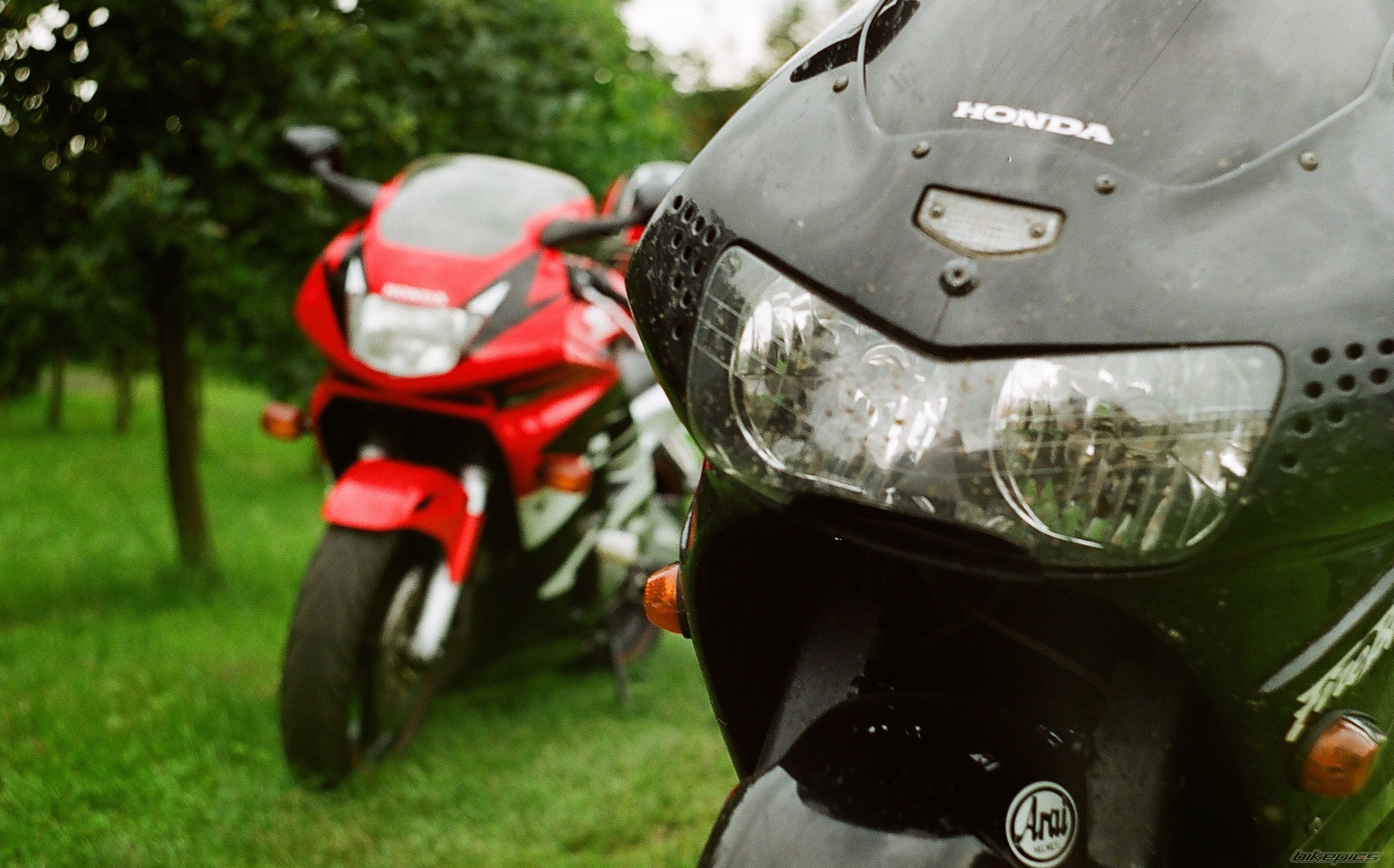 Photo 1750341