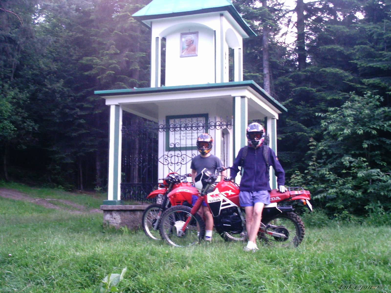 Photo 175042