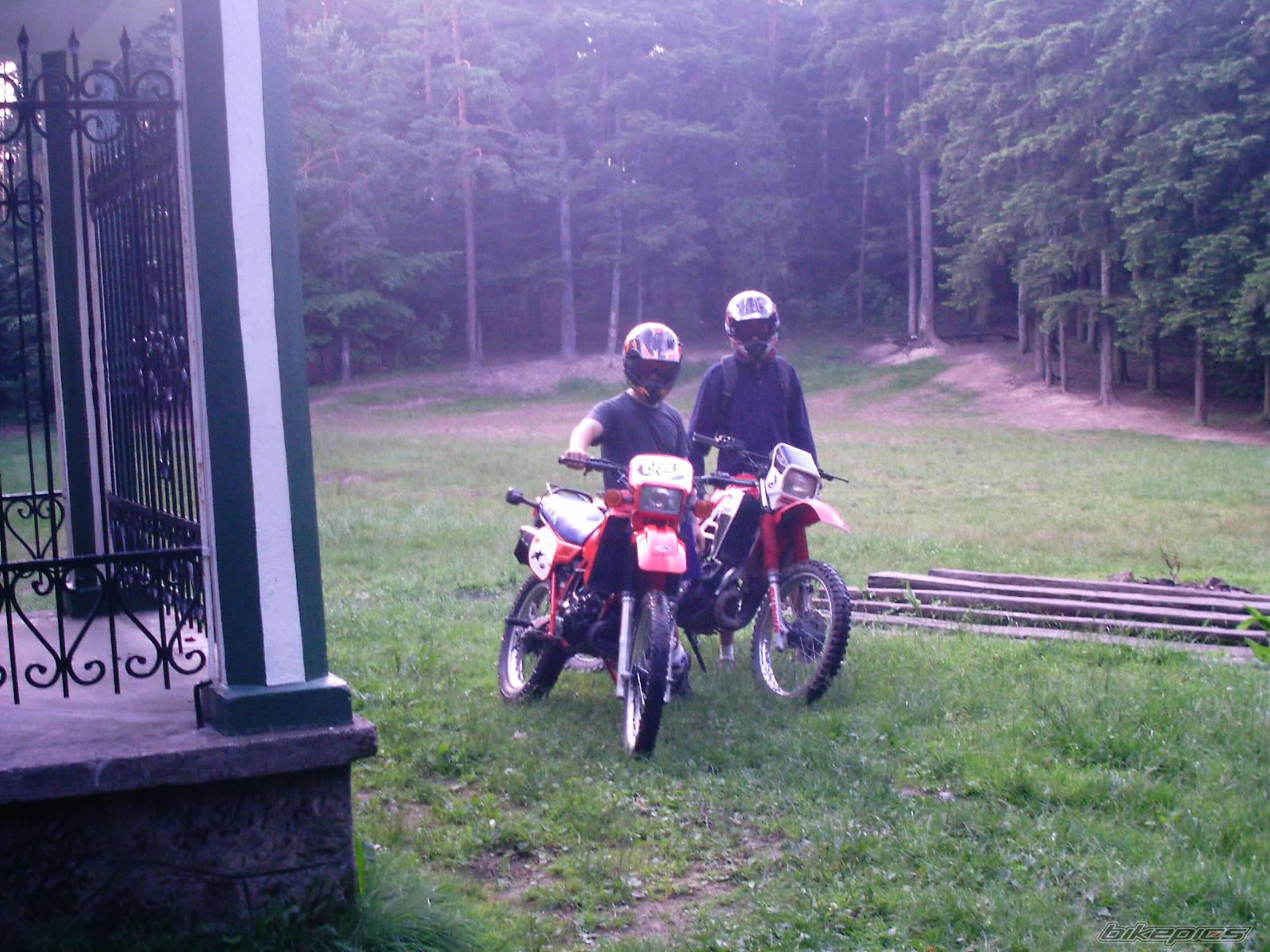 Photo 175046