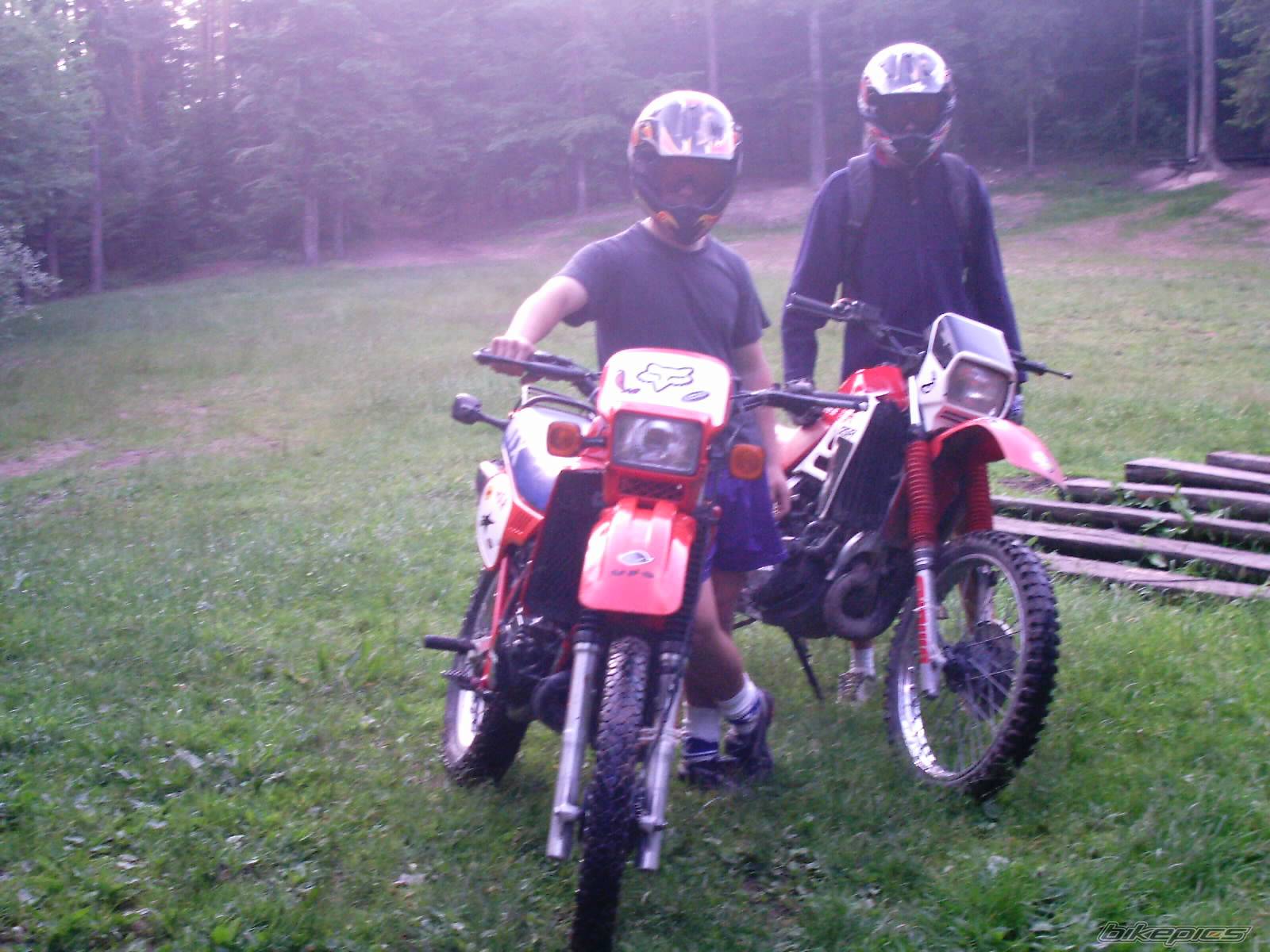 Photo 175047