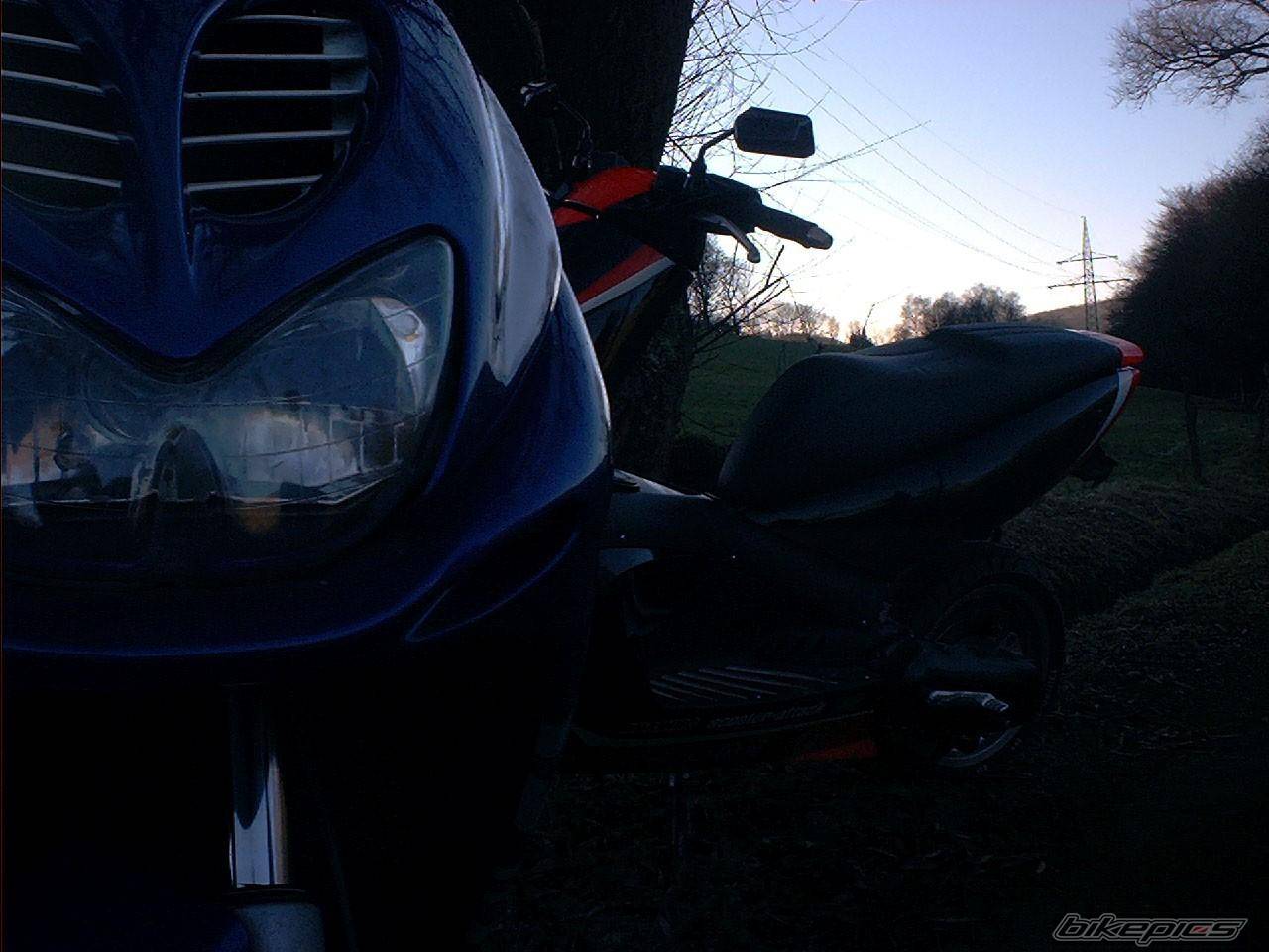 Photo 17505