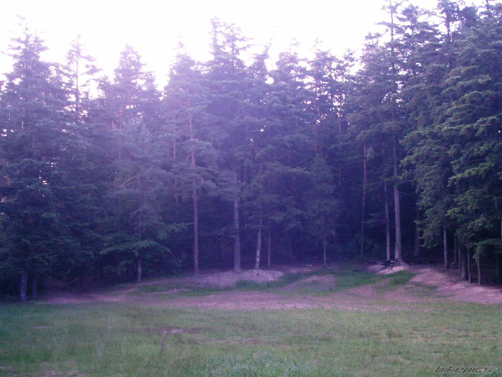 Photo 175053