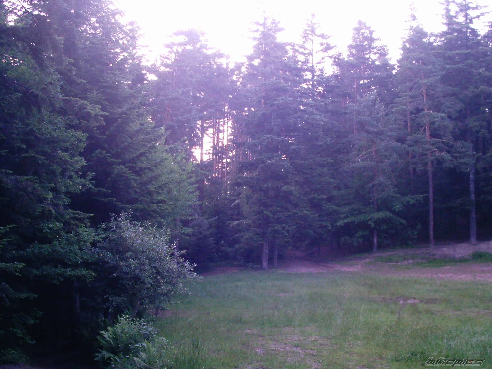 Photo 175054