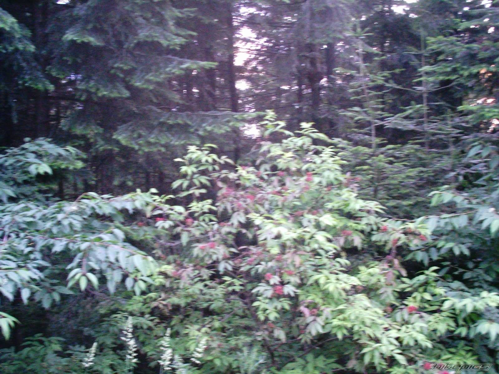 Photo 175055