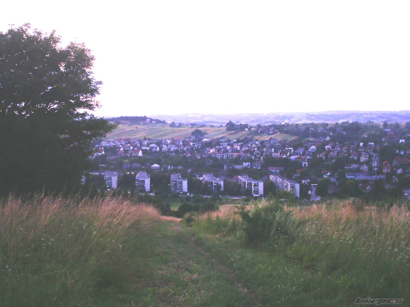 Photo 175058