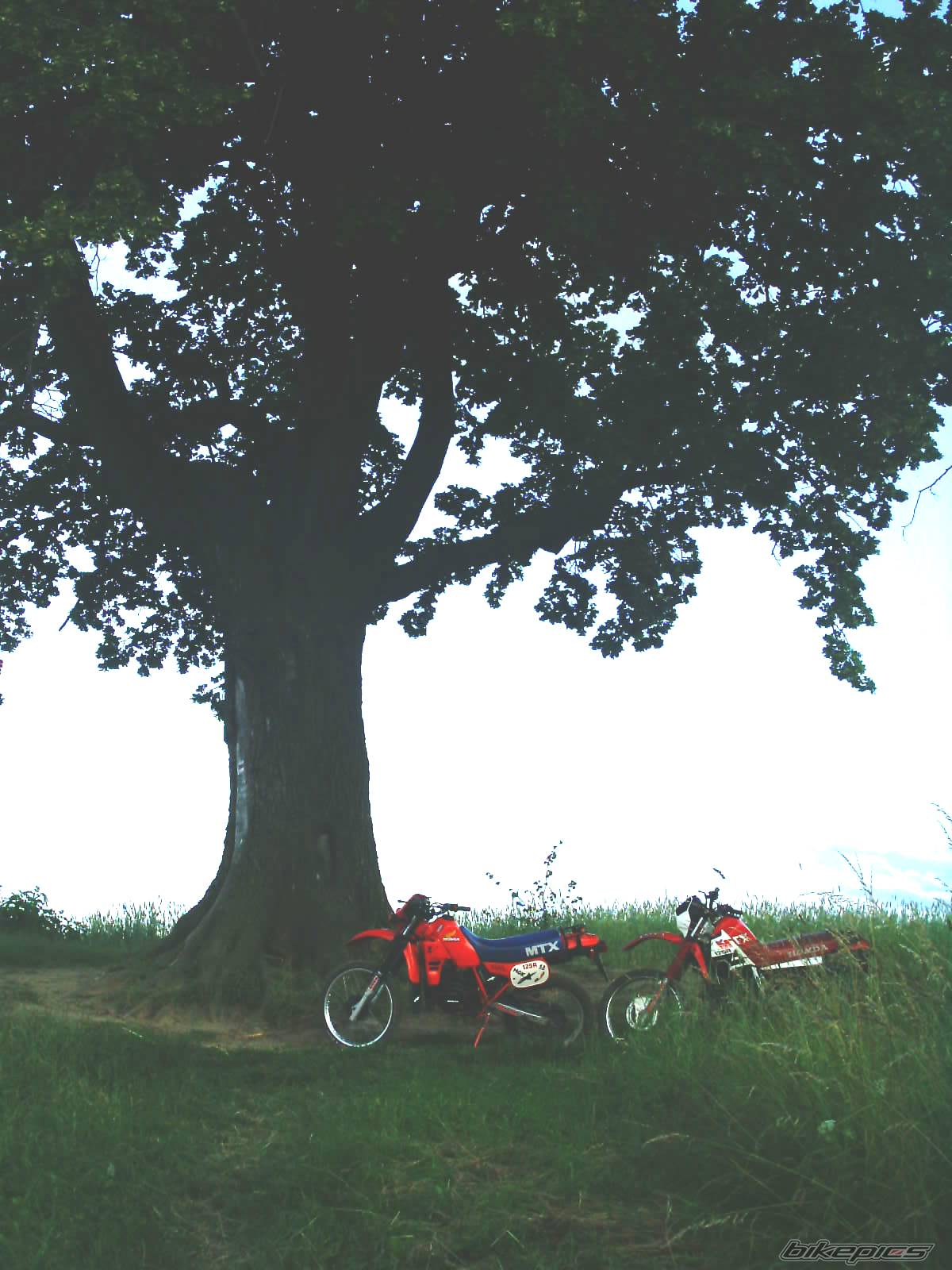 Bike Photo 175062