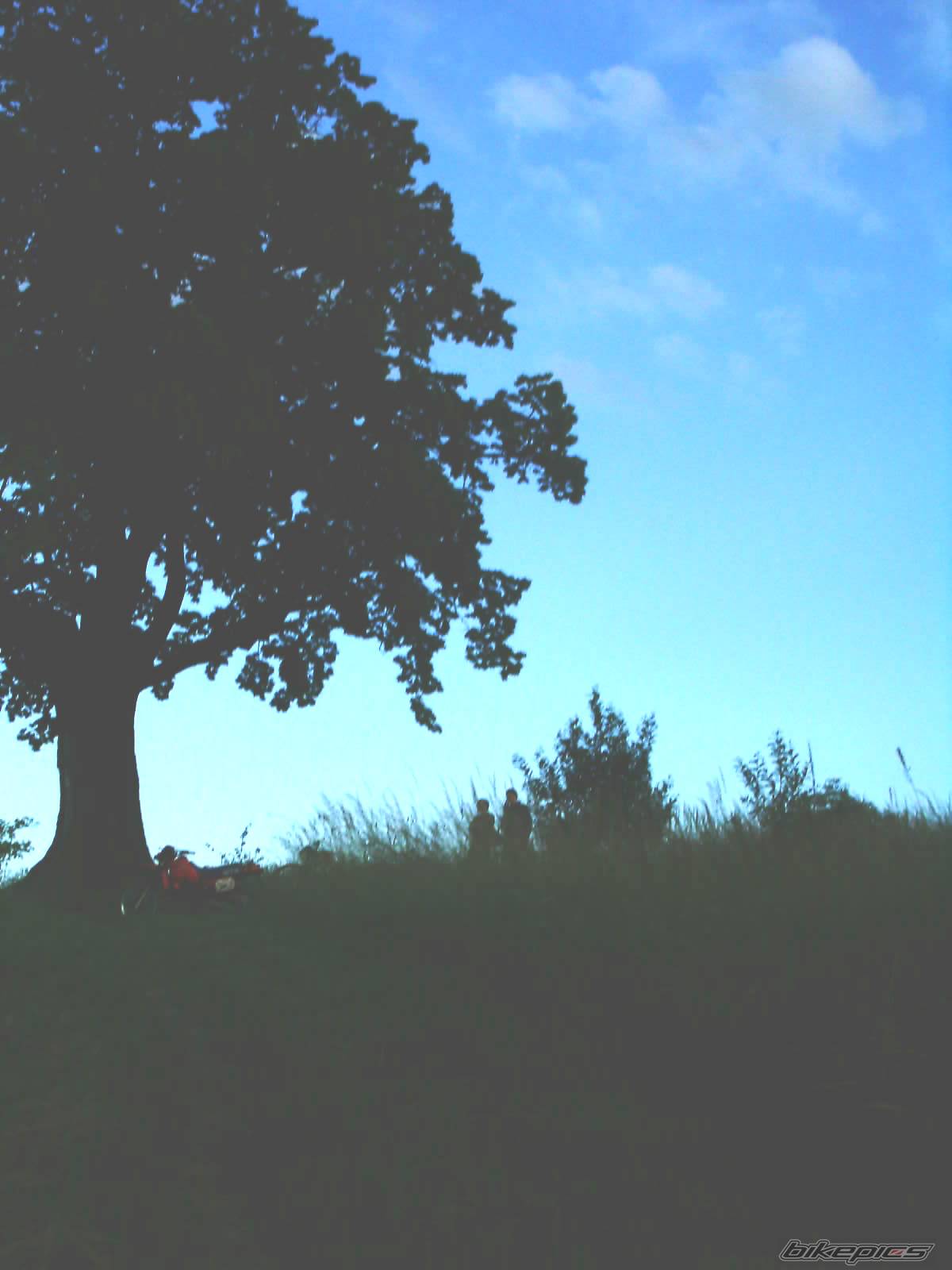 Photo 175064