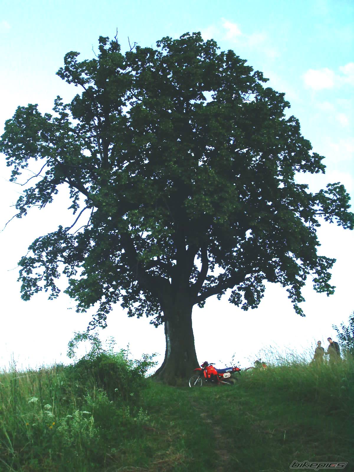 Bike Photo 175065